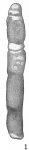 Bathysiphon filiformis
