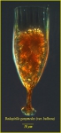Dadayiella bulbosa (Brandt, 1906) Dadayiella bulbosa (Brandt, 1906)