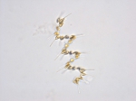 Asterionellopsis glacialis (Castracane) Round