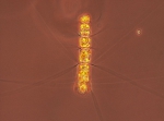 Chaetoceros compressus