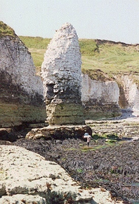 Flamborough Head