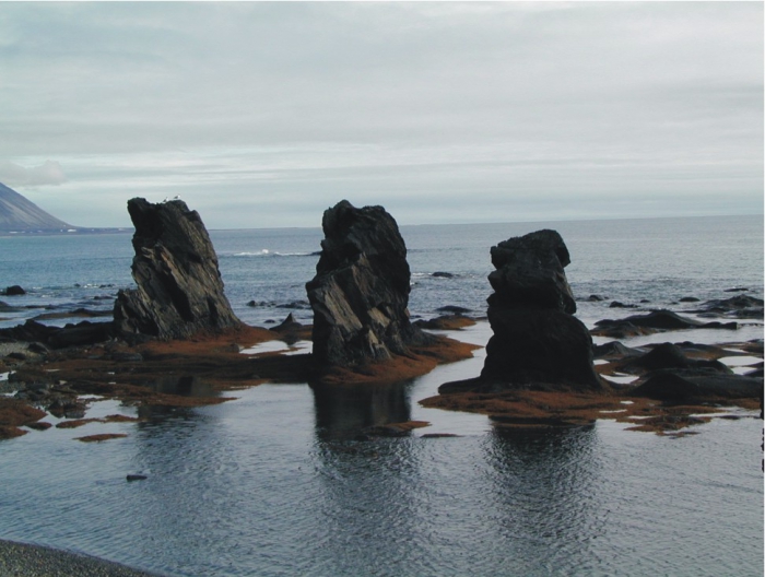 Northern shores of Hornsund.