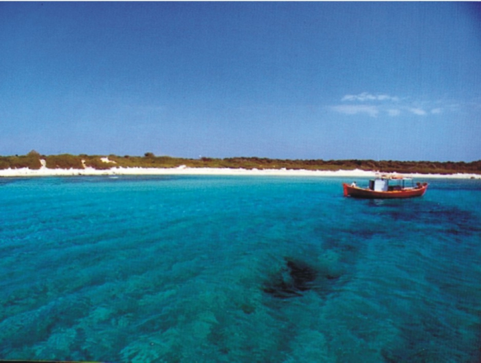 Sandy beach from Psathoura island.