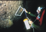 3 PP cave, counting deep-sea hexactinellid sponge Oopsacas minuta.