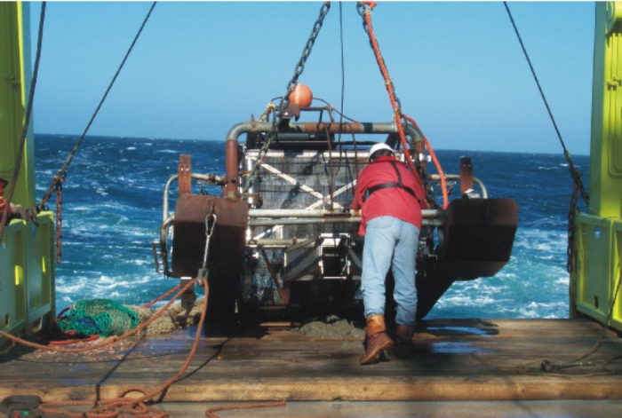 Epifauna sampling at the Frisian Front with the Triple D-dregde.