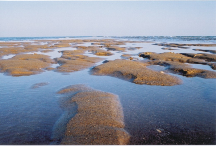 Coarse sandy offshore sandwave, enriched with shell hash.