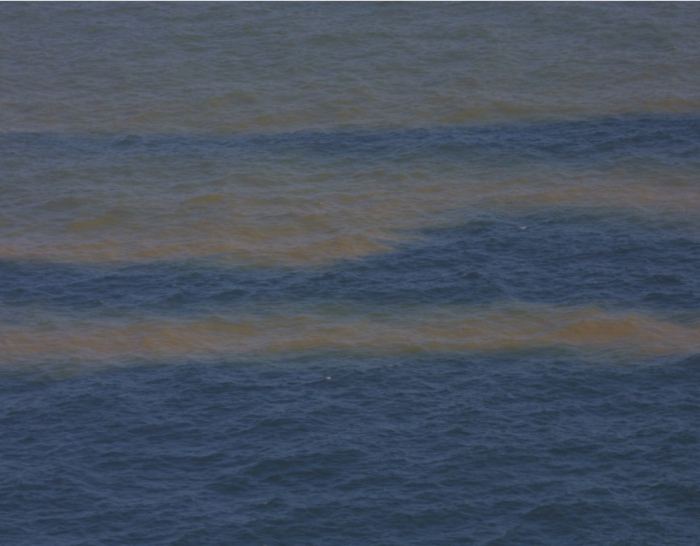 Station F3, Middle part of the Gulf of Finland, Baltic Sea. Bloom of bluegreen algae.