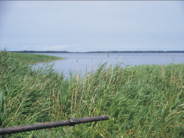 View from Dierhagen.