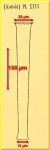 Eutintinnus pectinus Eutintinnus pectinus