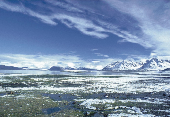 The inner part of Kongsfjorden, Svalbard, viewed from the settlement of Ny Ålesund.