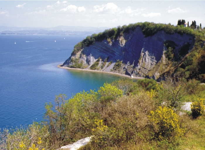 Nature Reserve Strunjan, Slovenia.