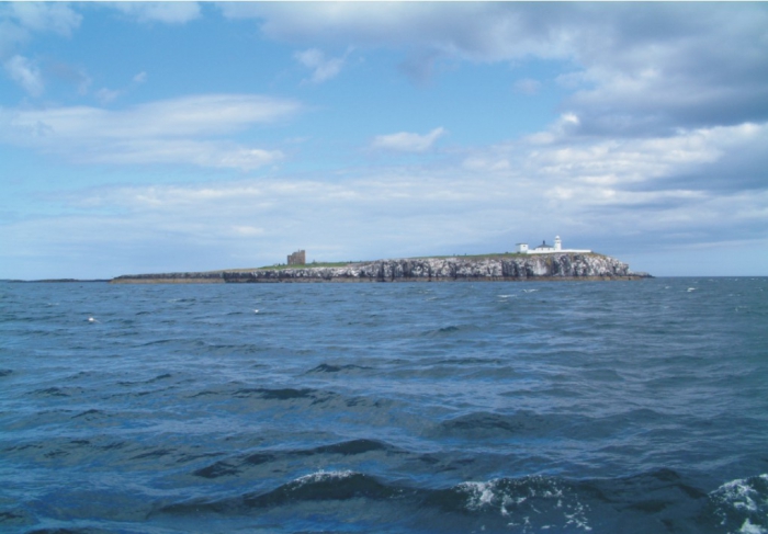 Inner Farne, the largest island of the Farnes group.