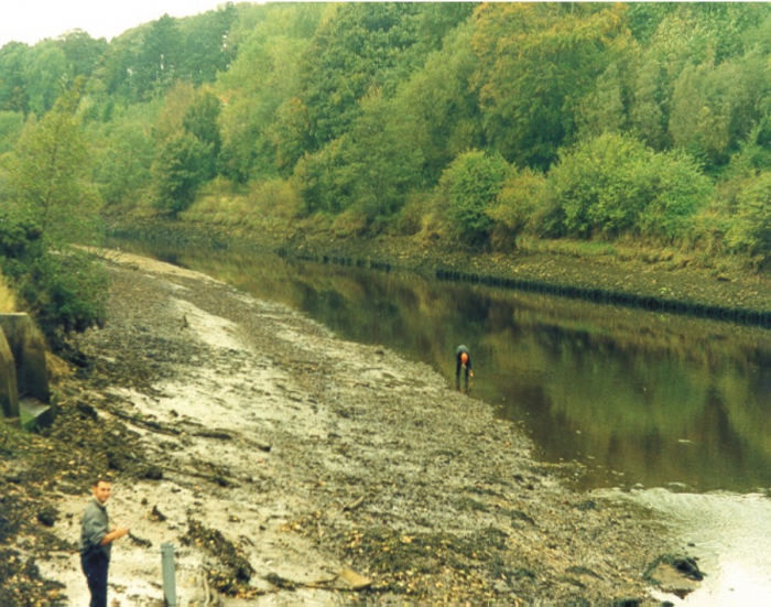 The upper Esk estuary.