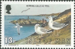 Larus argentatus
