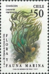 Lessonia nigrescens