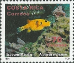 Arothron meleagris