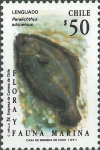 Paralichthys adspersus