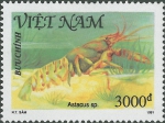 Astacus sp.