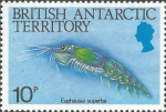Euphausiacea