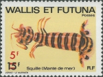 Stomatopoda sp.