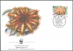 Acanthaster planci Acanthaster planci