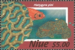 Platygyra pini