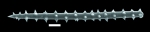 Agelas spicule Agelas spicule