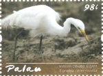 Egretta intermedia