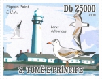 Larus ridibundus