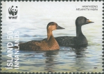 Aves (birds)