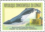 Balaenoptera physalus