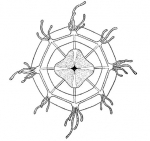 Octorathkea onoi, from Kramp (1968) Octorathkea onoi, from Kramp (1968)