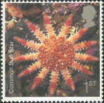 Crossaster papposus