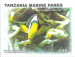 Perciformes