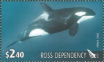 Orcinus orca