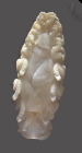 Ceratothoa oestroides