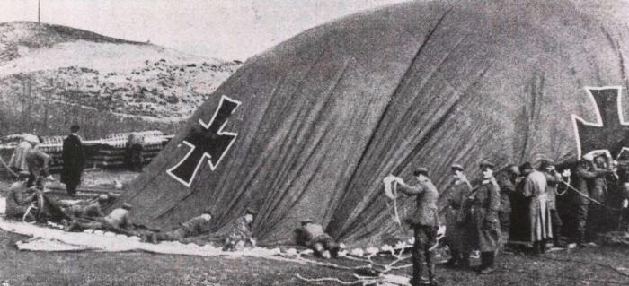 Ryheul (1997, fig. 139)