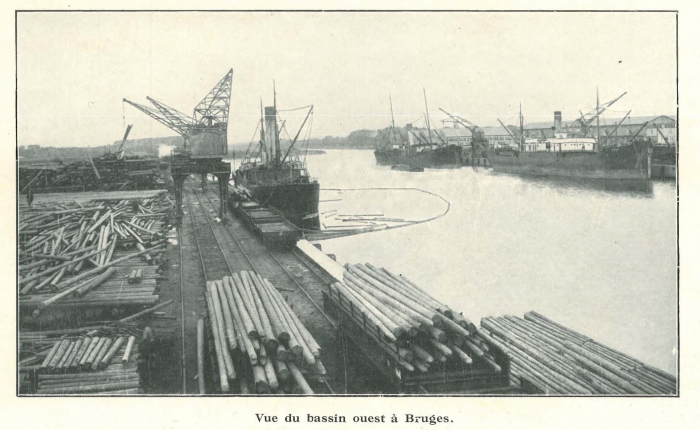 Vandeput (1932, pl. 201)