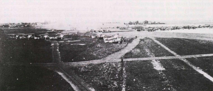 Ryheul (1997, fig. 157)