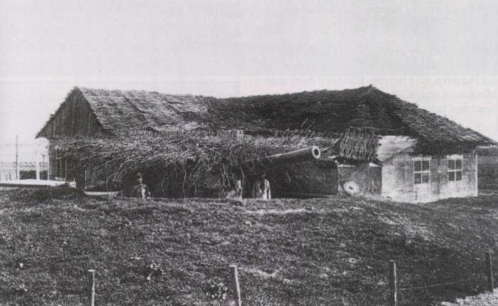 Ryheul (1997, fig. 212)