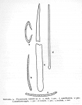 Plocamionida topsenti Burton, 1954 Plocamionida topsenti Burton, 1954