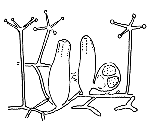 Family Ptilocodiidae - Genus Ptilocodium: polyp stage Family Ptilocodiidae - Genus Ptilocodium: polyp stage