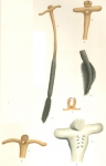 Pennella crassicornis from Brian, A 1906 Pennella crassicornis from Brian, A 1906