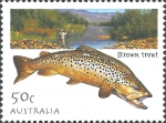 Salmo trutta Salmo trutta