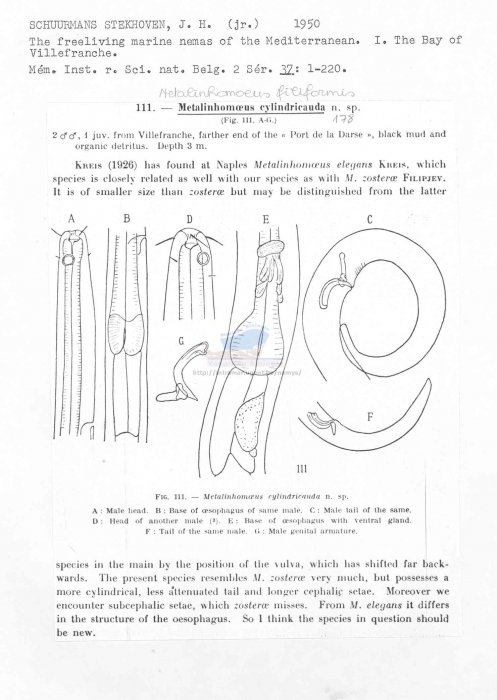 Worms World Register Of Marine Species