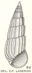 Peripetella linearis Laseron, 1956 Peripetella linearis Laseron, 1956