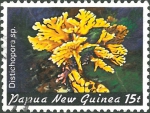 Distichopora sp. Distichopora sp.