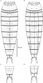 Cephalorhyncha