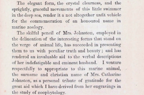 Gosse's dedication of "The Chrystalline Johnstonella" to the Johnstons, especially Catharine