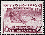 Newfoundland postage stamp (1943): Northern Seal, Baby Whitecoat